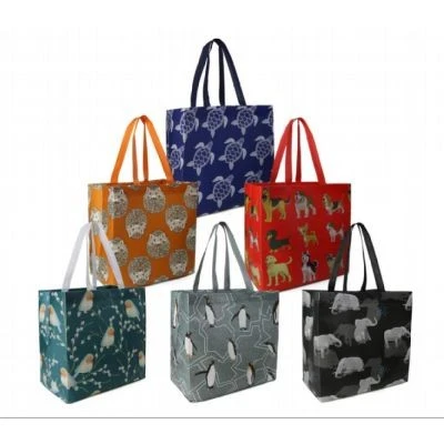 Non-Woven Garment Bags best
